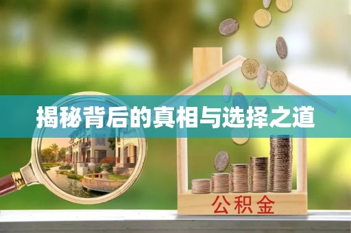 饶河揭秘背后的真相与选择之道