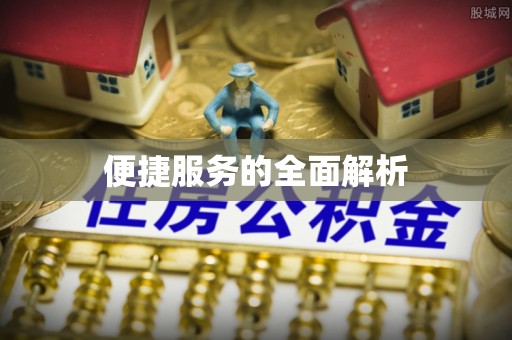 饶河便捷服务的全面解析