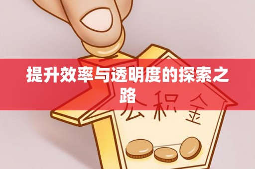 饶河提升效率与透明度的探索之路