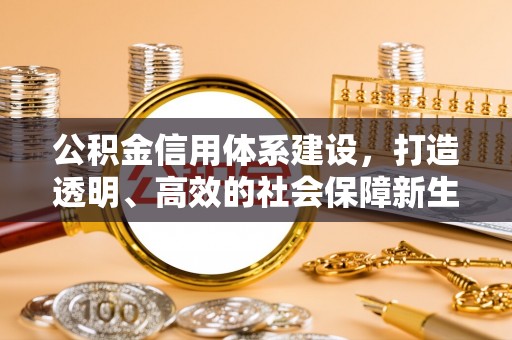 饶河公积金信用体系建设，打造透明、高效的社会保障新生态