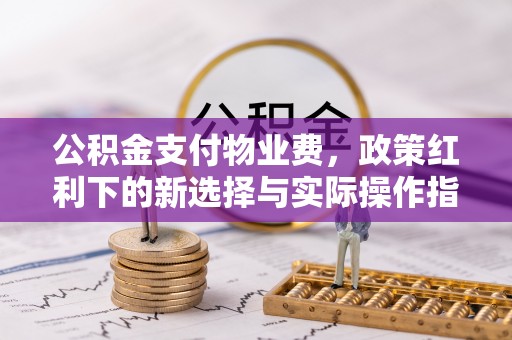 饶河公积金支付物业费，政策红利下的新选择与实际操作指南