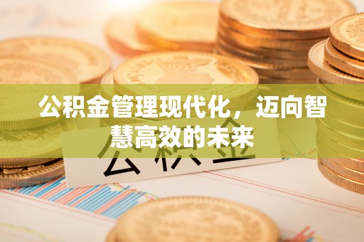 饶河公积金管理现代化，迈向智慧高效的未来