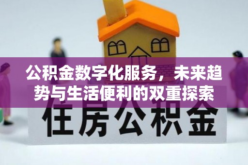 饶河公积金数字化服务，未来趋势与生活便利的双重探索