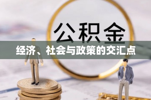 饶河经济、社会与政策的交汇点