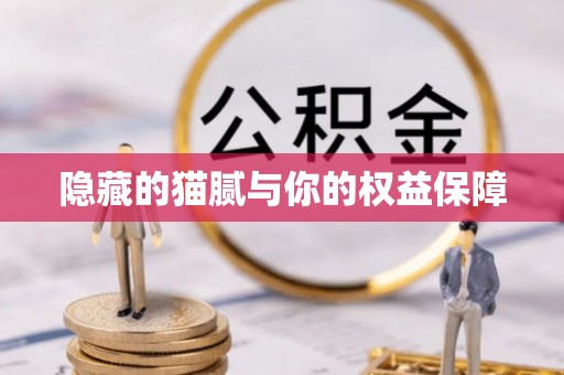 饶河隐藏的猫腻与你的权益保障