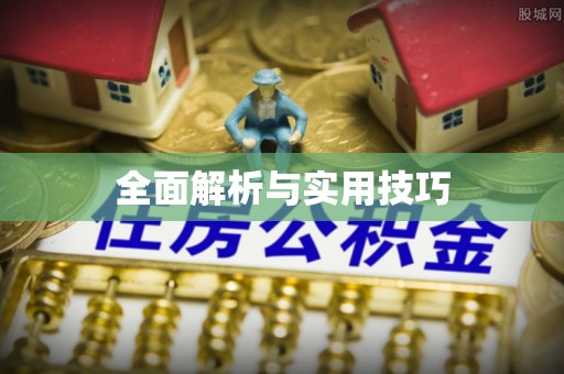 饶河全面解析与实用技巧