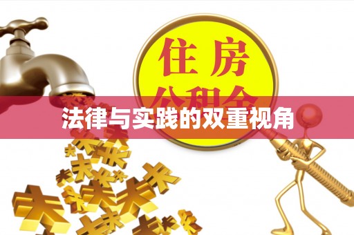 饶河法律与实践的双重视角
