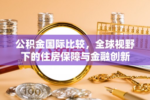 饶河公积金国际比较，全球视野下的住房保障与金融创新