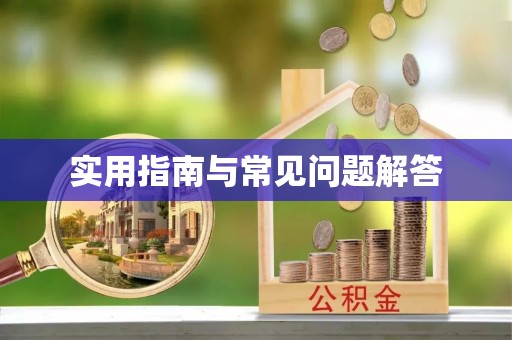 饶河实用指南与常见问题解答