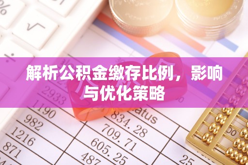 饶河解析公积金缴存比例，影响与优化策略