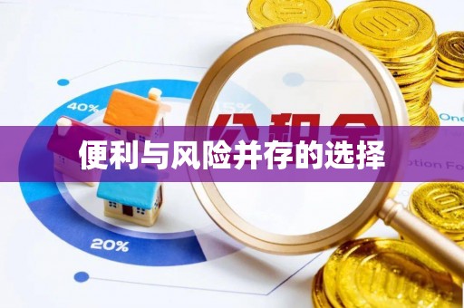 饶河便利与风险并存的选择