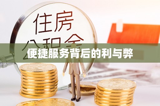 饶河便捷服务背后的利与弊